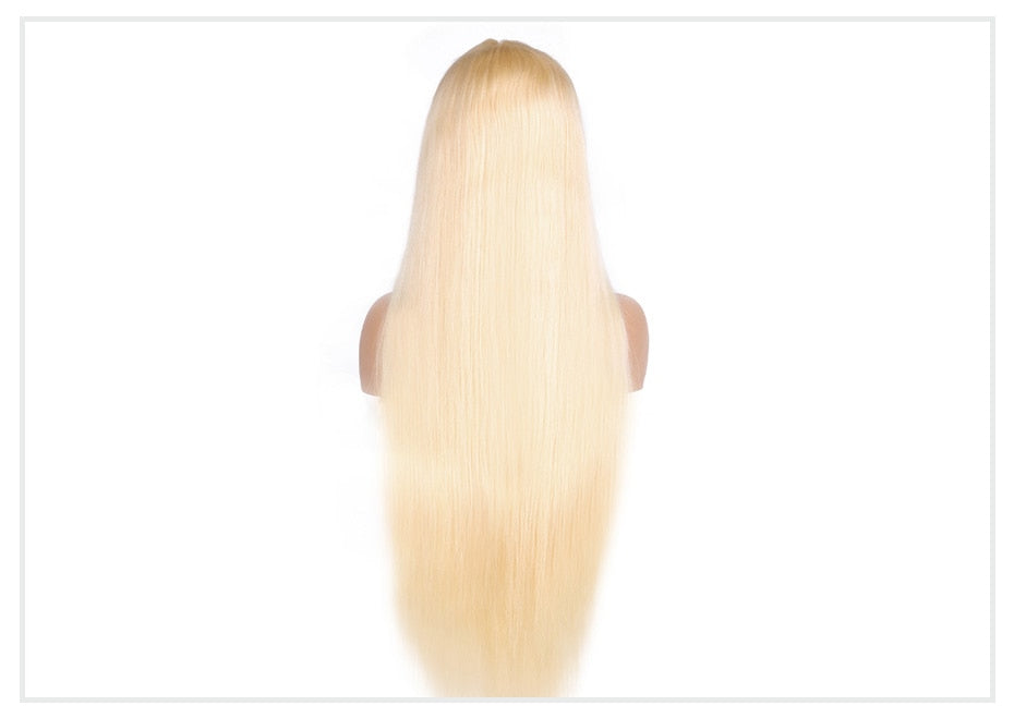 Honey Blonde Straight Wig